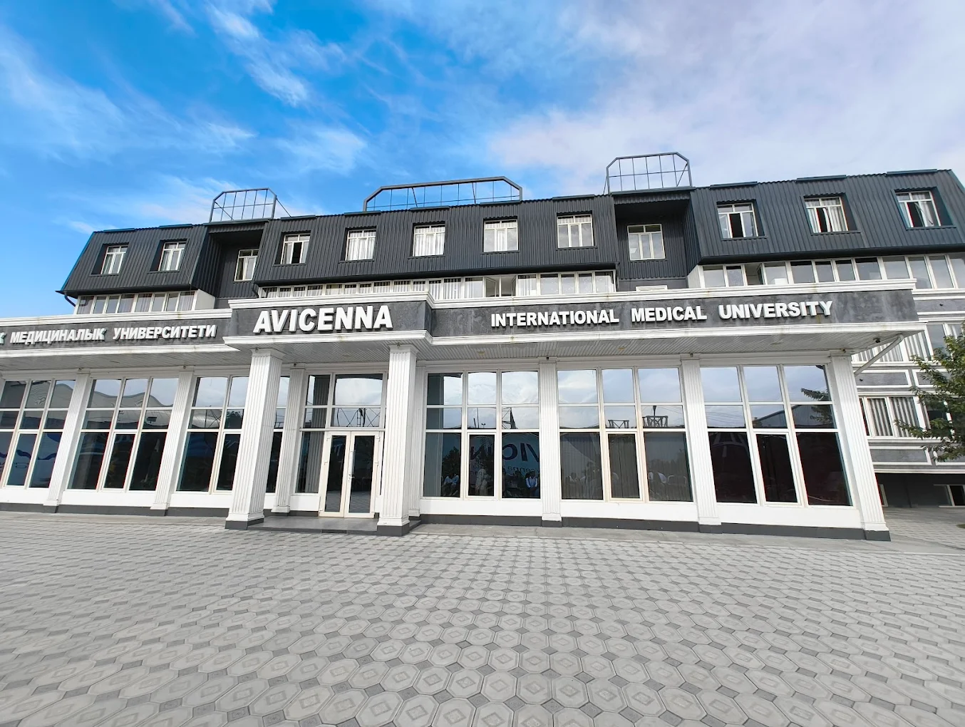 Avicenna International Medical University